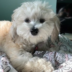 Meet your Posher, Claudia